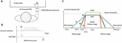 Current Change Rate Influences Sensorimotor Cortical Excitability During Neuromuscular Electrical Stimulation